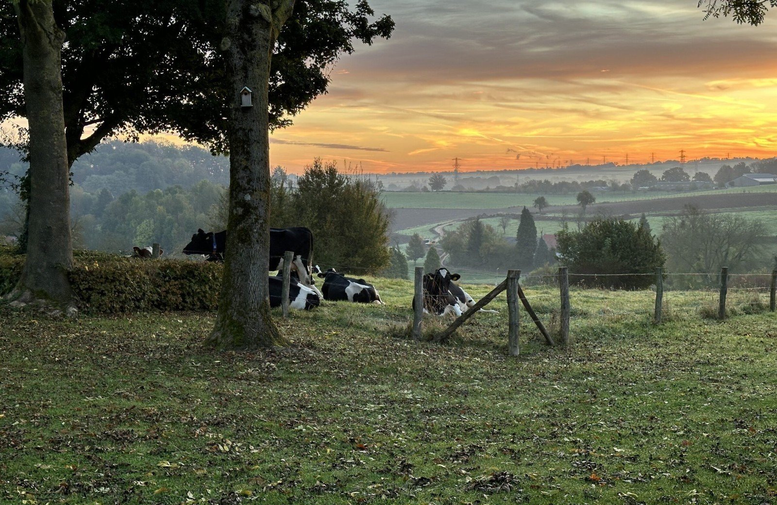 Img 2442 foto jan herre